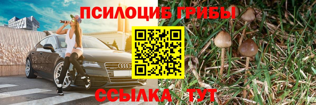 Галлюциногенные грибы Magic Shrooms  Вход с VPN  Мценск 