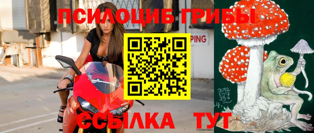 Псилоцибиновые грибы MAGIC MUSHROOMS Мценск
